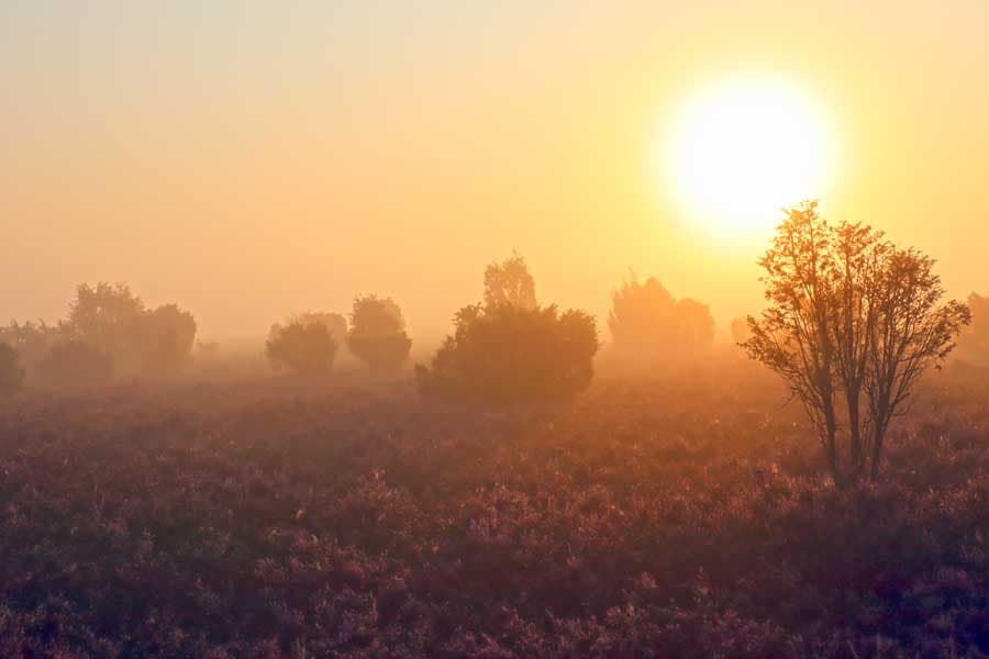 Sonnenaufgang am Heidschnuckenweg