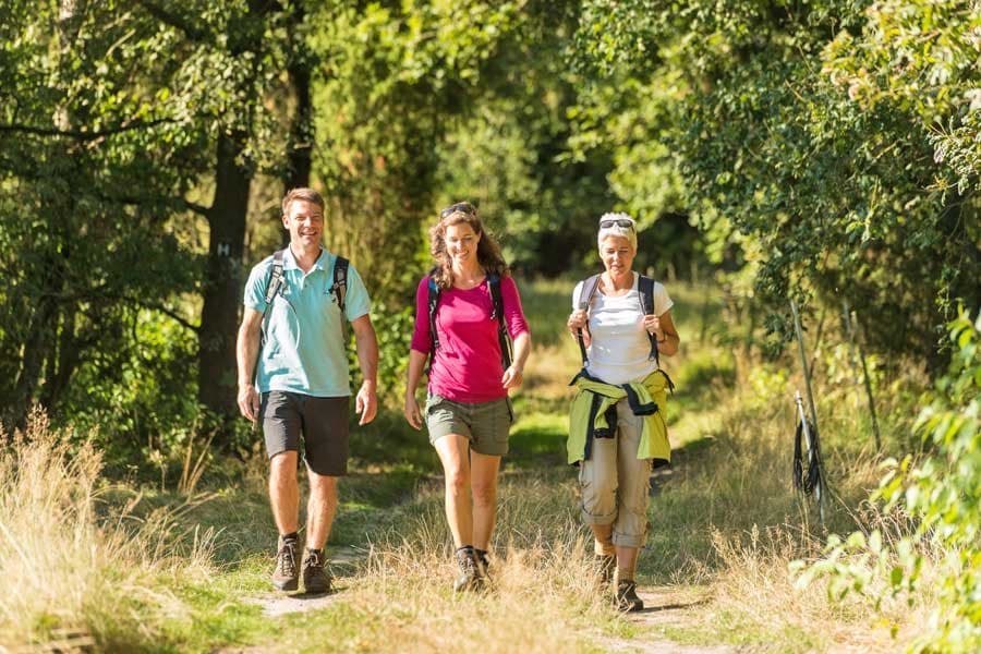 Wandern durch die Natur der Heide auf dem Heidschnuckenweg