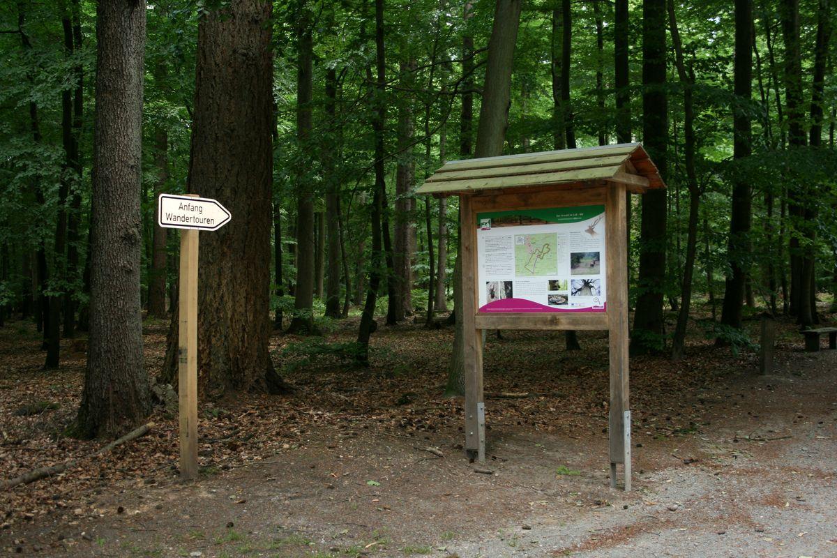 Informationstafel im Lüßwald