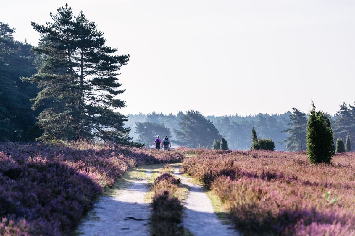 Wanderweg zum Tiefental