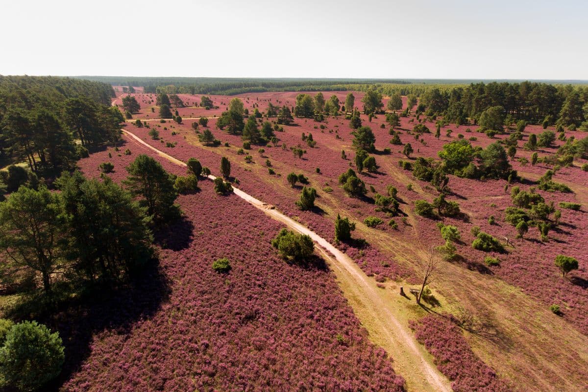 Wandern auf dem Heide Panoramaweg