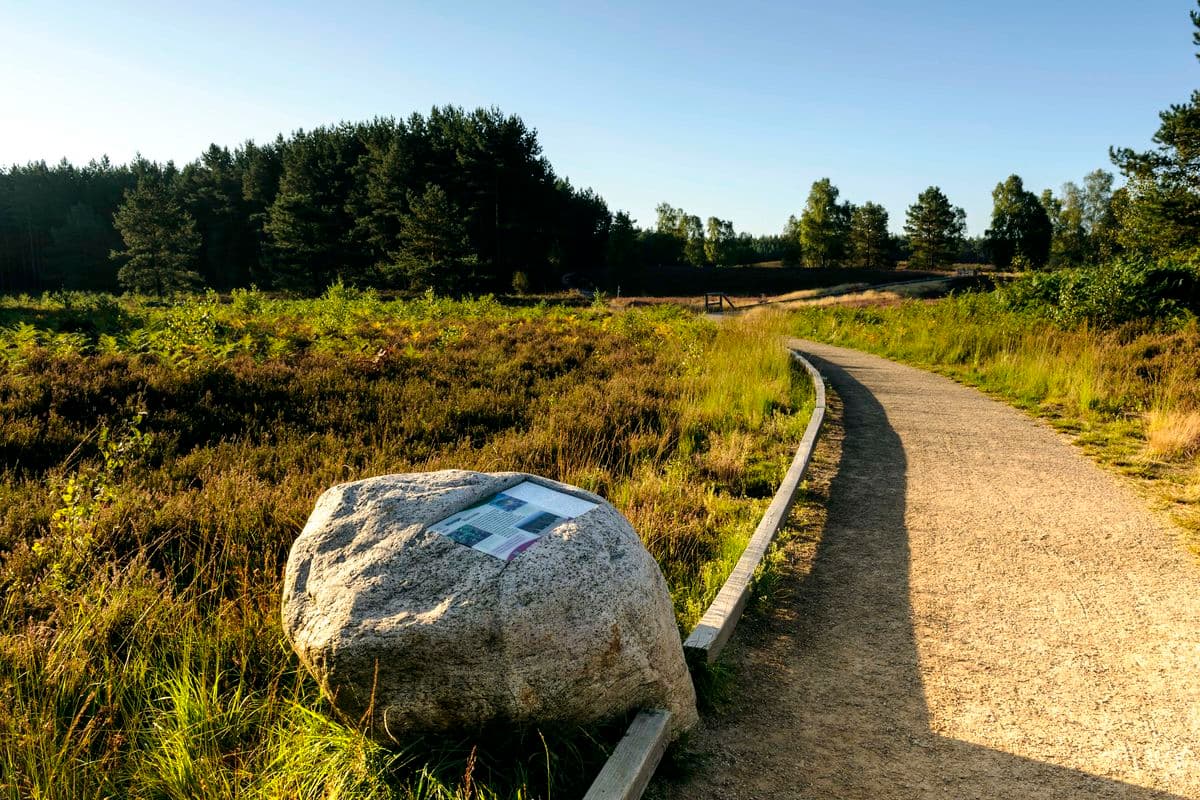 Wanderweg am Angelbecksteich