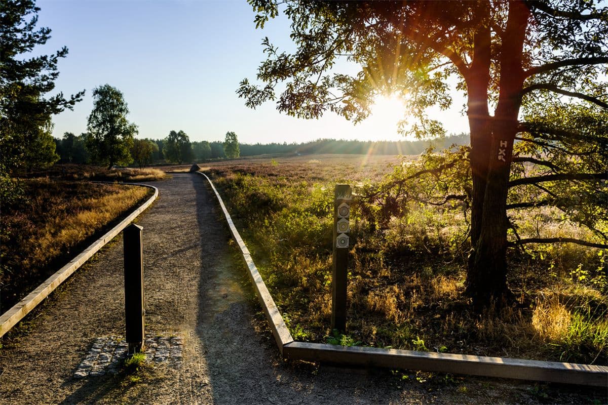 Wanderweg am Angelbecksteich