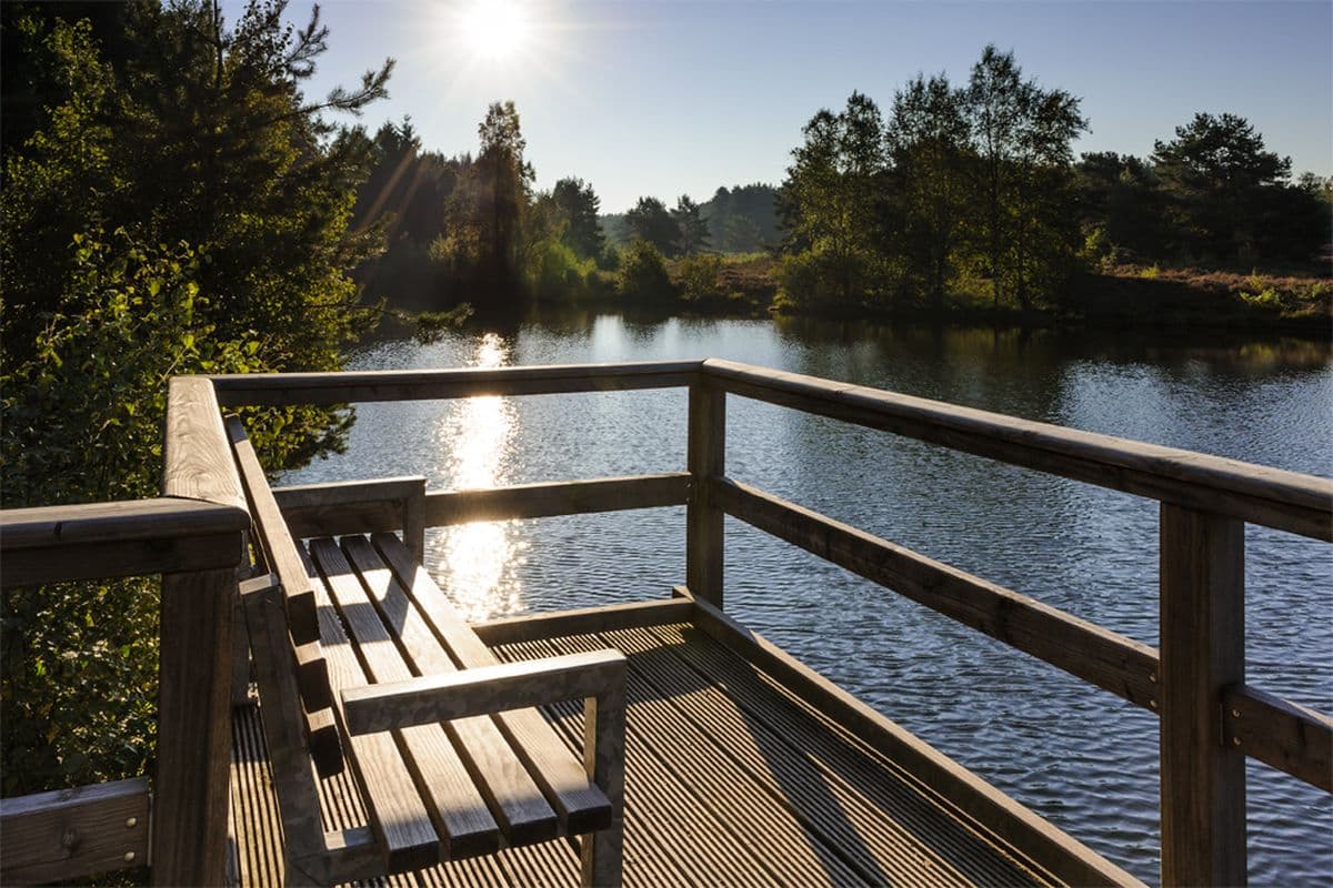 Aussicht auf den Angelbecksteich