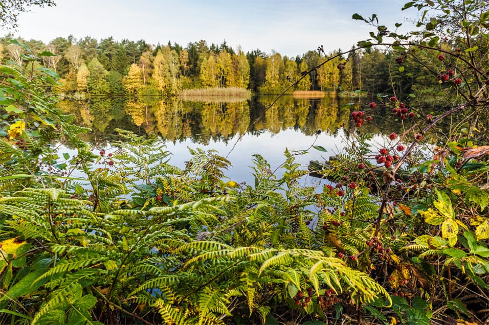 Naturschauspiel im Herbst