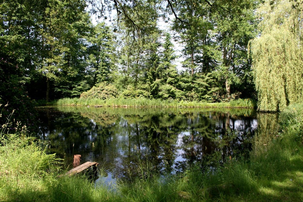 Aschauteiche bei Eschede