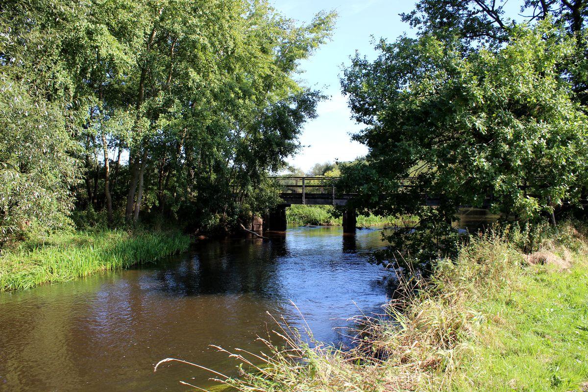Heidefluss Örtze zwischen Oldendorf und Eversen