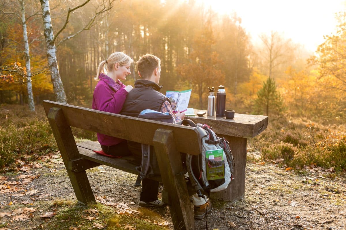 Rastplatz im Wald