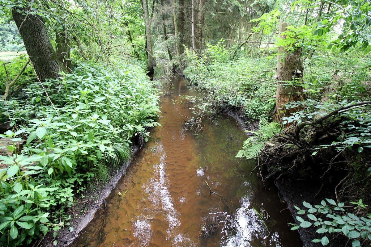 An der Aschau bei Eschede