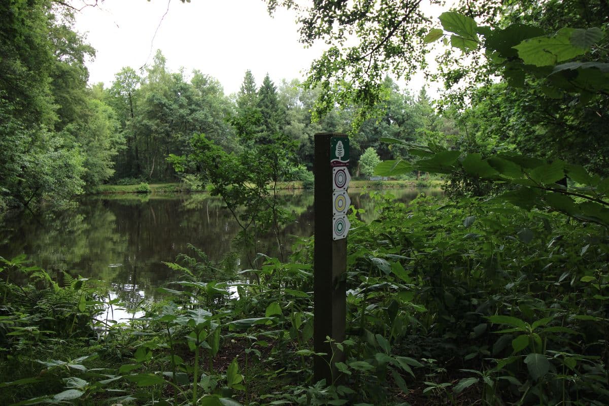 Teich an der Aschau