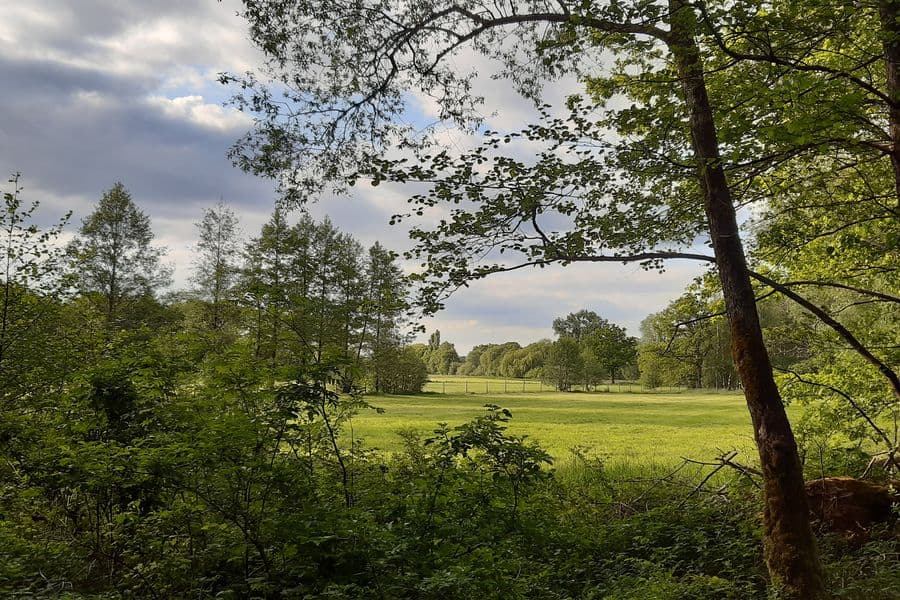 das Gebiet wird durch Felder, Wiesen und Wald bestmmt