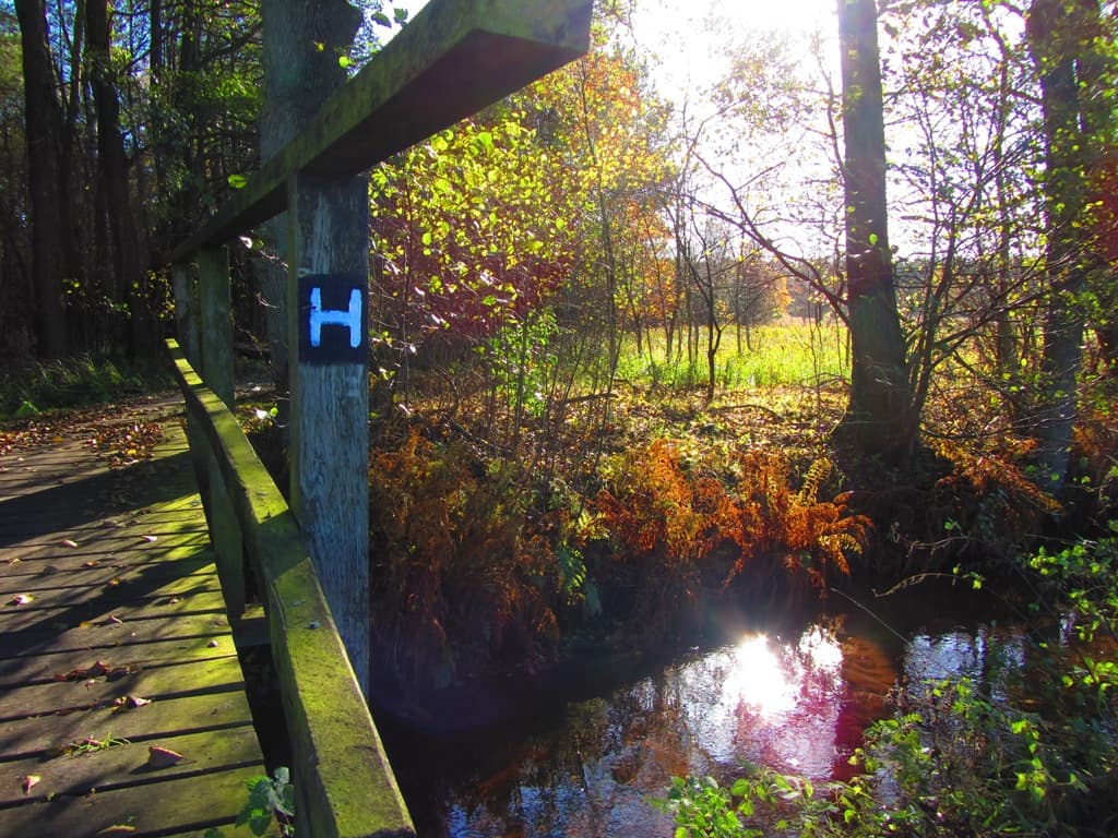 Steg über den Radenbach (Heidschnuckenweg)