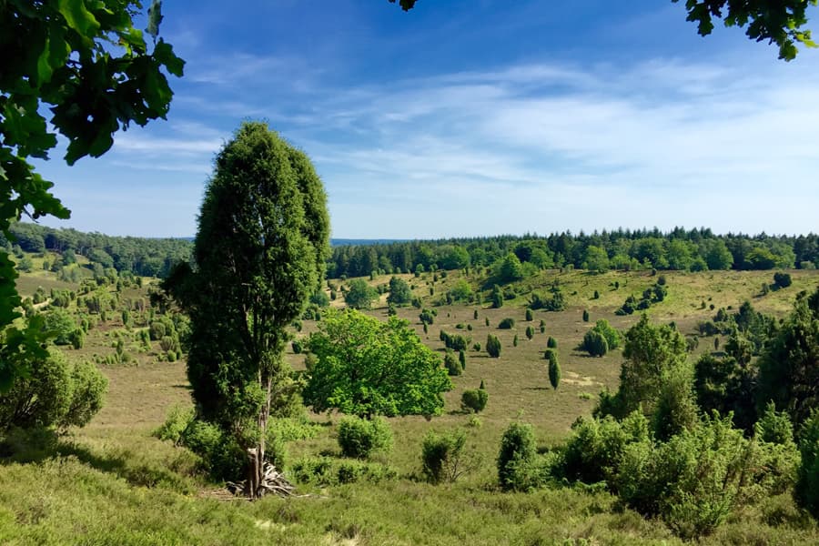 Totengrund-Undeloh-Lüneburger-Heide