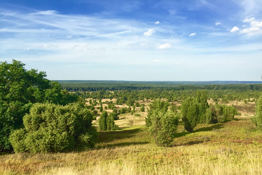 Wilseder Berg Undeloh 07082015