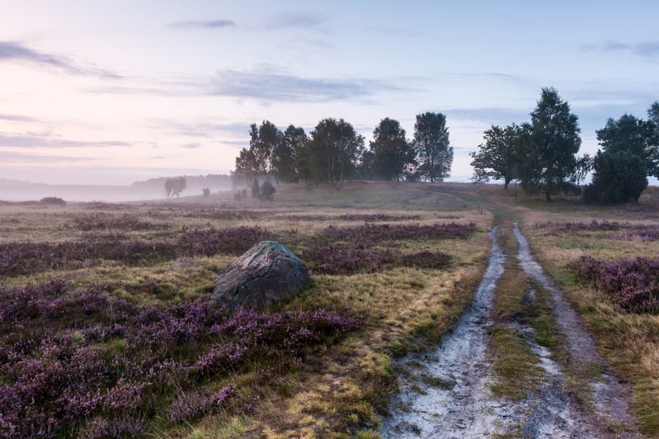 Surhorn in den Morgenstunden