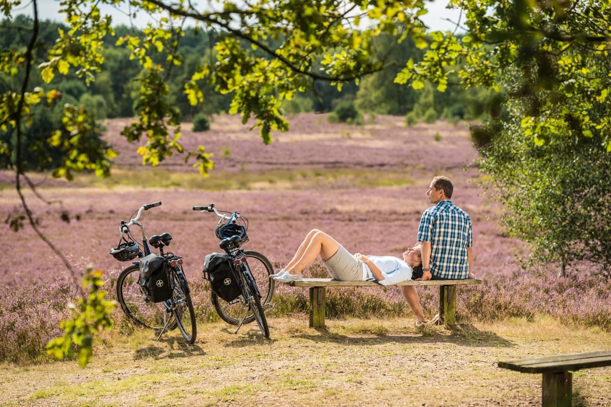 Radtour Lüneburger Heide