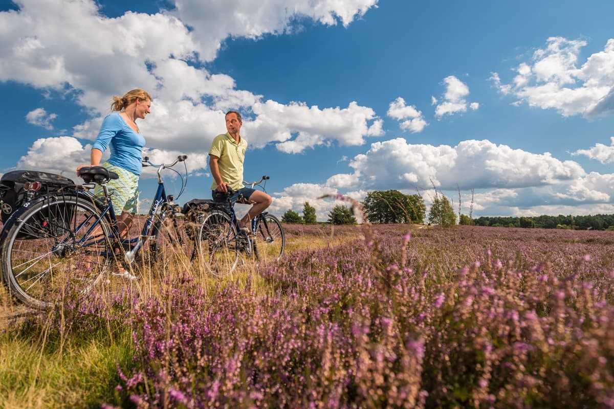 Radtour Lüneburger Heide