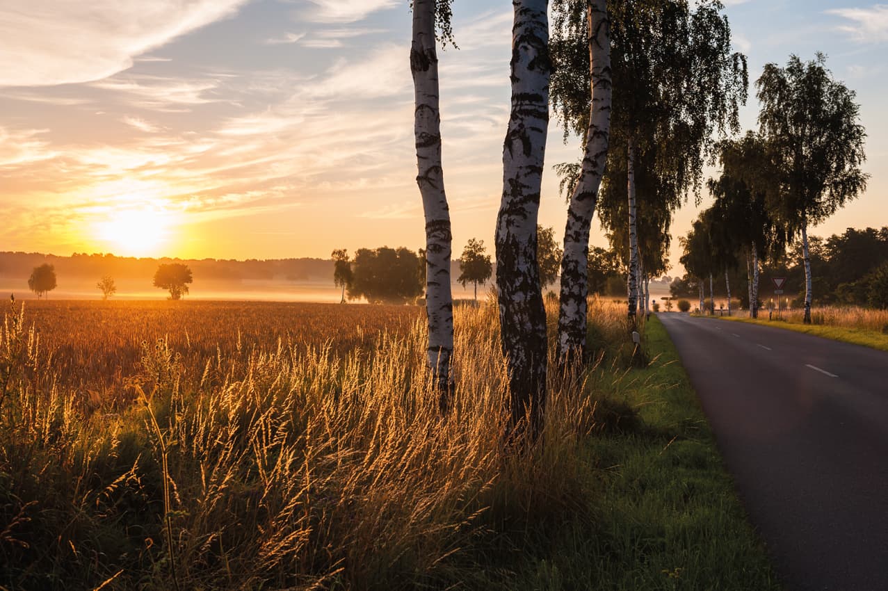 Abendstimmung über den Feldern