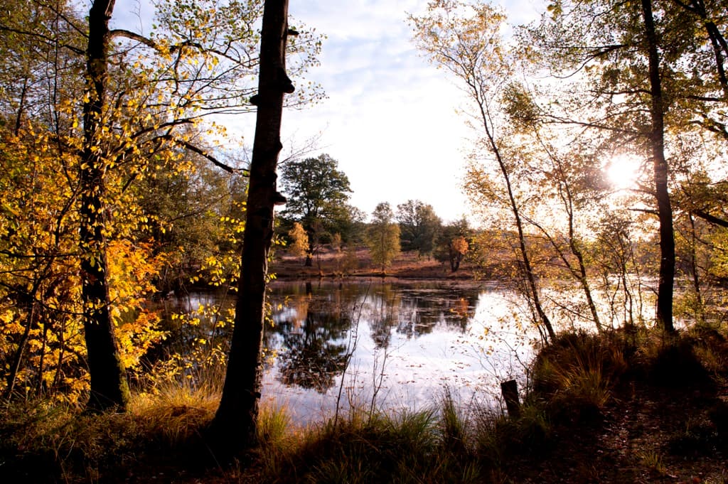 Pastorenteiche (Fischteiche) im Naturwunder