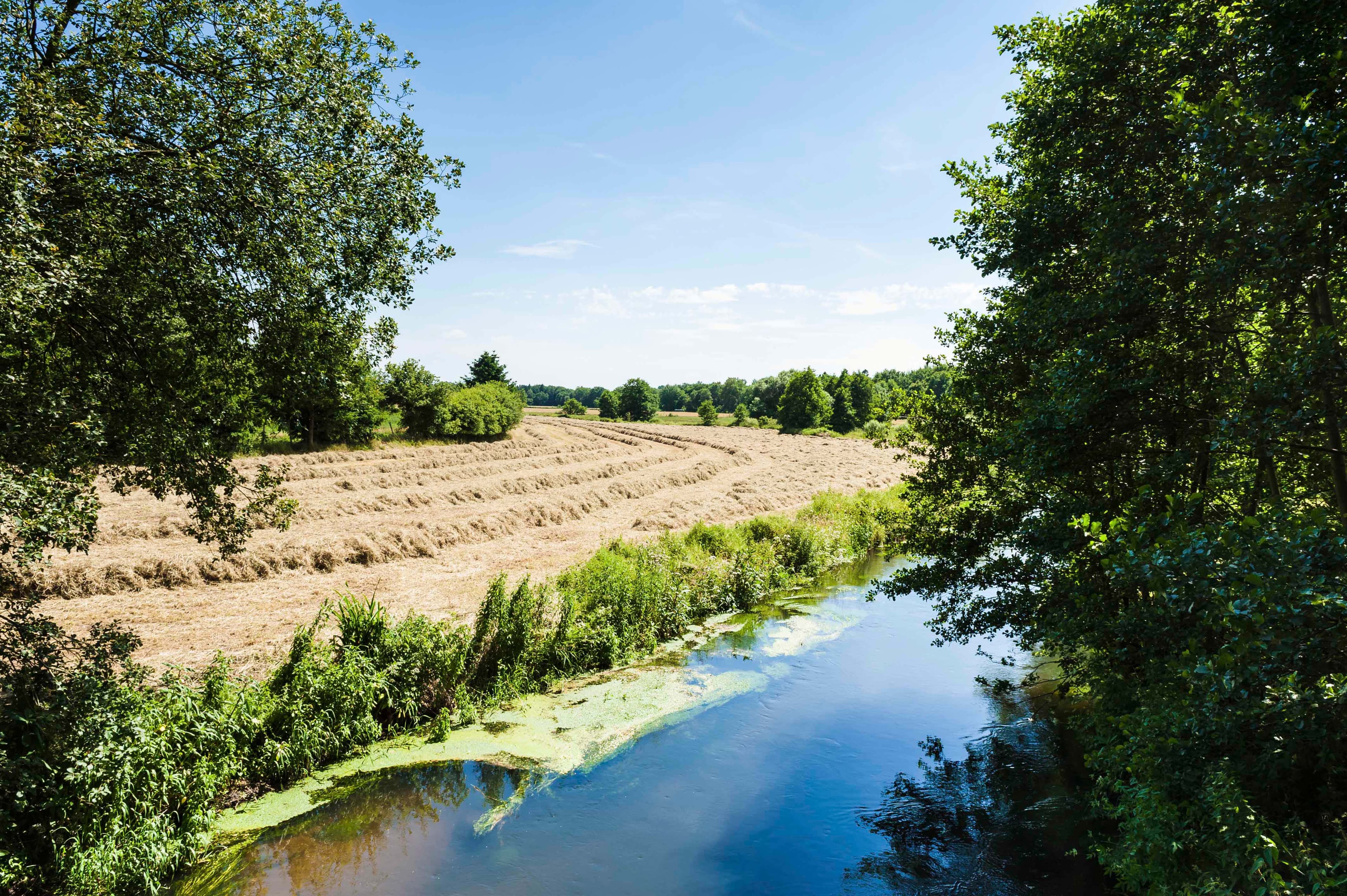 Landschaft um Salzhausen