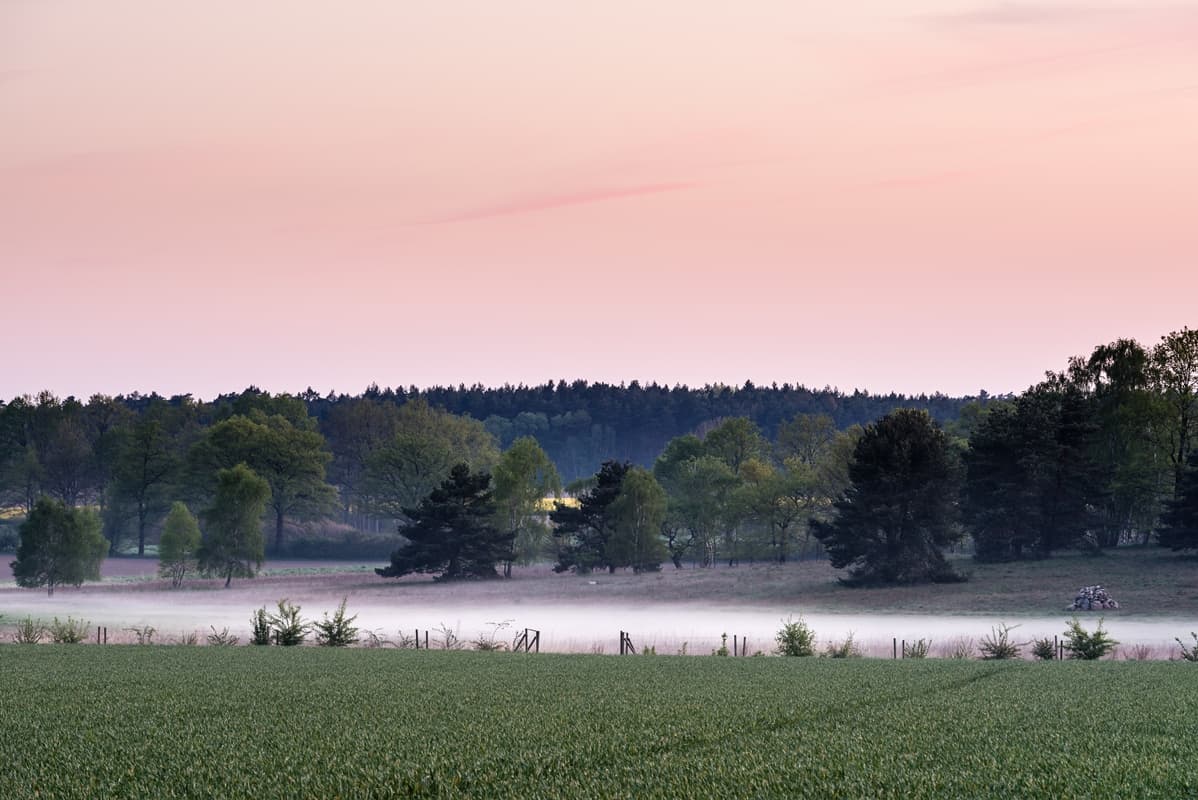 Nebel Salzhausen