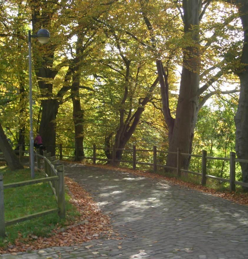 Bürgerpark Bergen1