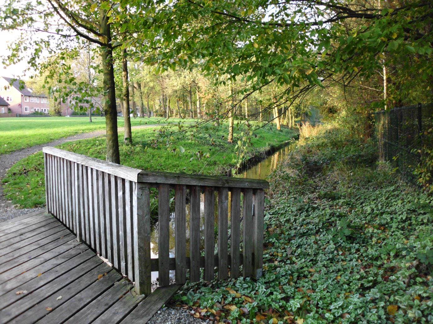 Weg entlang des Bergener Baches