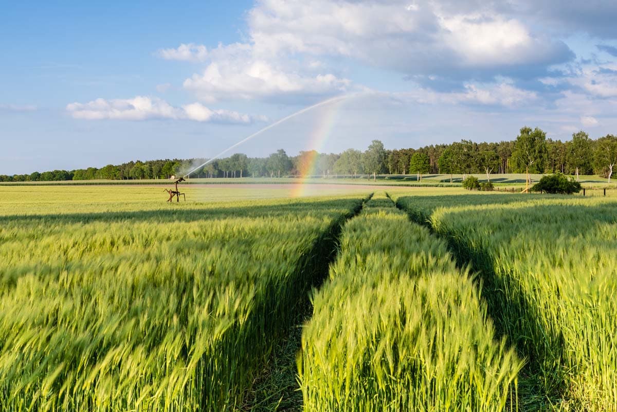 Region Uelzen in der Lüneburger Heide