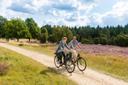 Radfahrer in der Bodenteicher Heide bei Bad Bodent