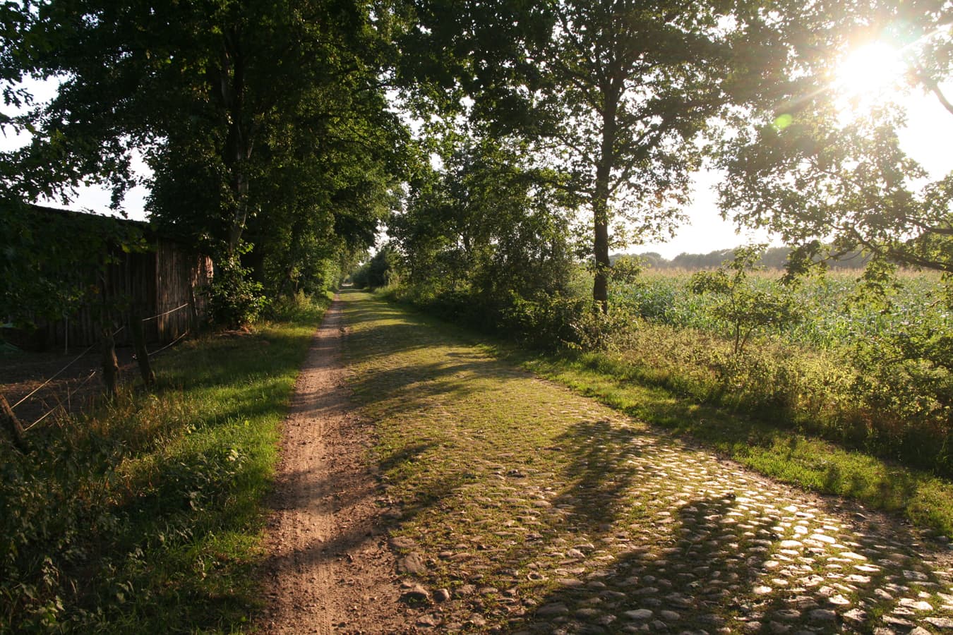 Denkmalgeschützte Straße bei Holxen in der ADFC-RadReiseRegion Uelzen in der Lüneburger Heide
