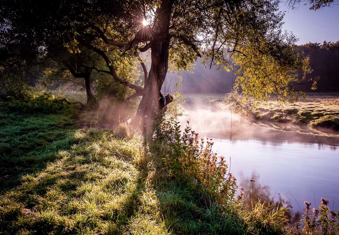 Der Heidefluss Ilmenau