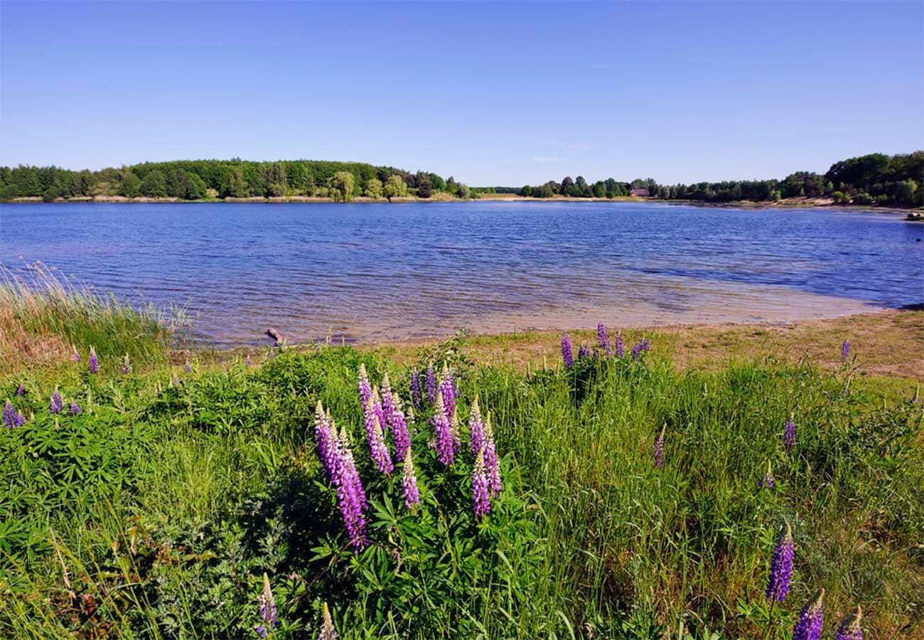 Badesee Oldenstädter See in der Region Uelzen in der Lüneburger Heide