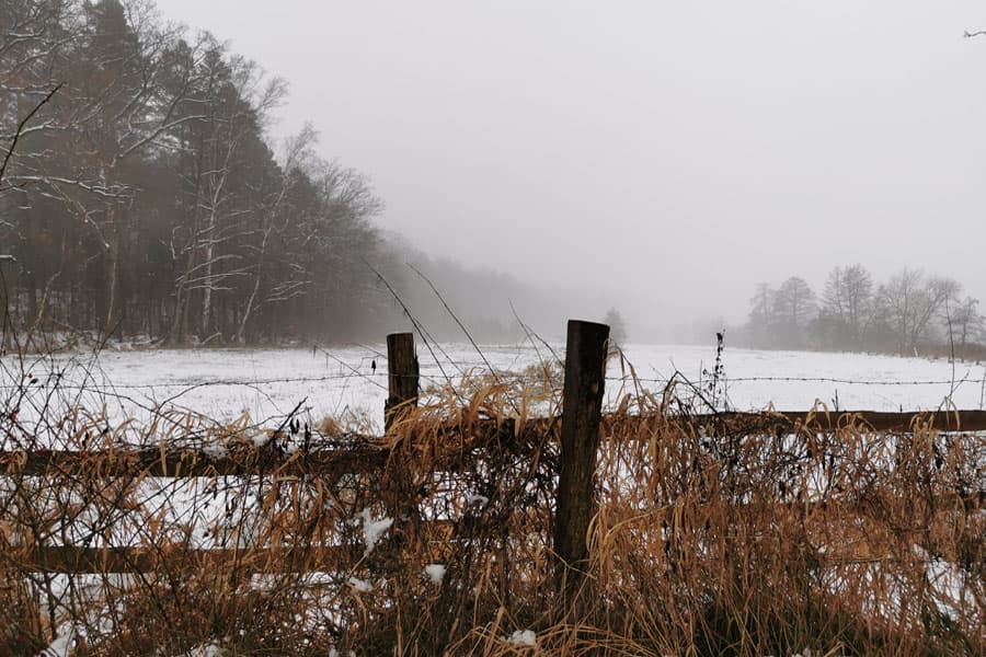 Winter Weide Schnee Eis