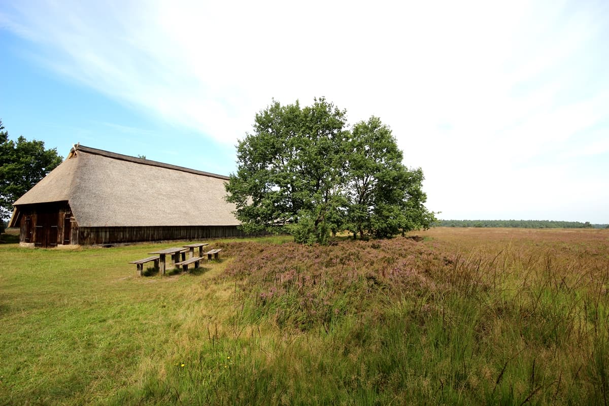 Töps Heide, Hanstedt, 05.09.17