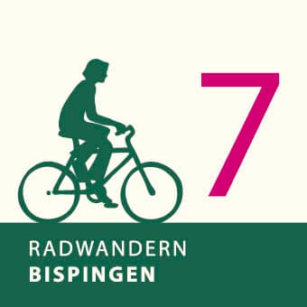 Pietzmoor, Osterheide und Spitzbubenweg Bispingen