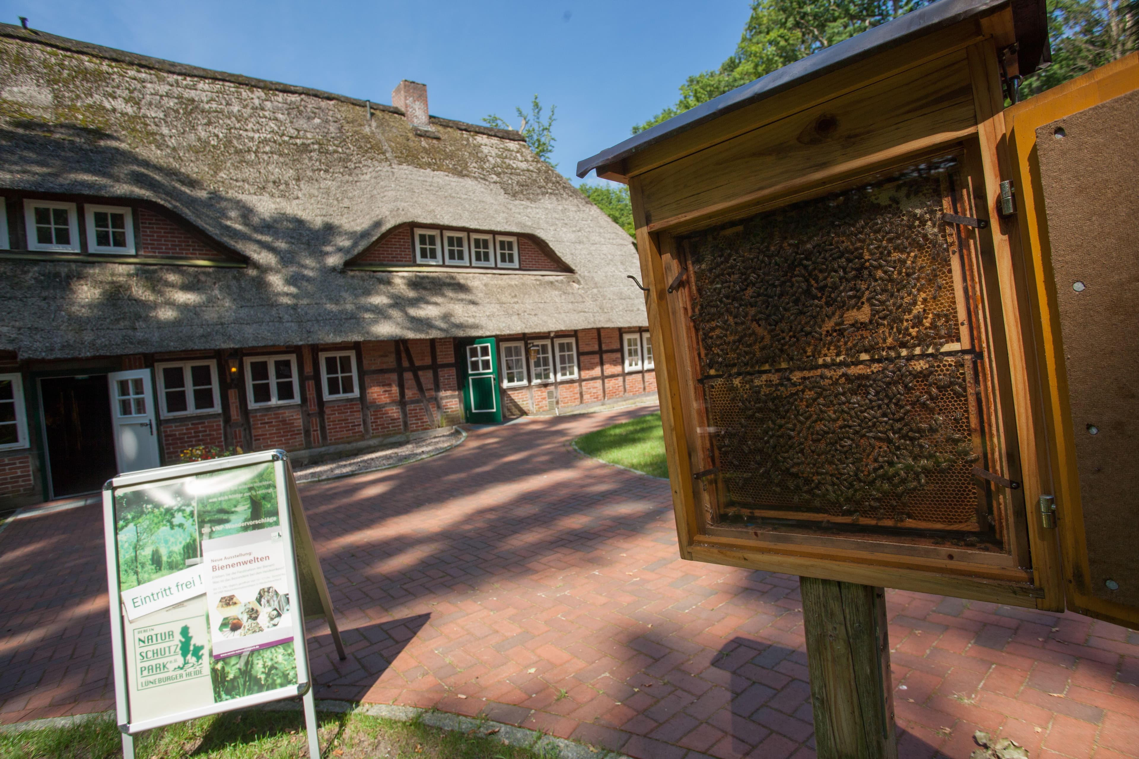 Niederhaverbeck, Bienenwelten