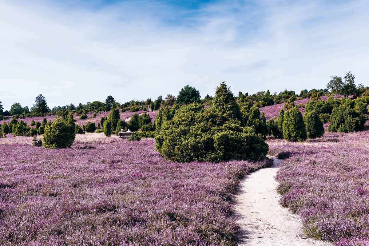 Ellerndorfer Wacholderheide