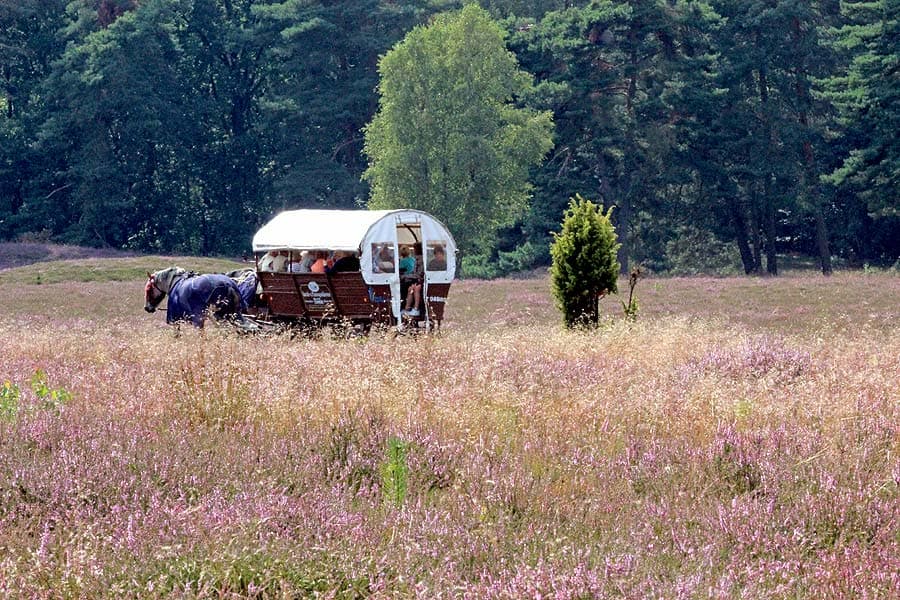 Bad Bevensen Klein Bünstorfer Heide
