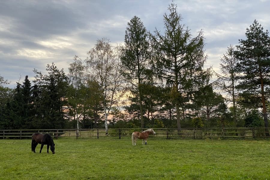 Radtour Adelheidsdorf: Mutige Siedler - Stolze Reiter. Von der Moorlandschaft zur Pferderegion