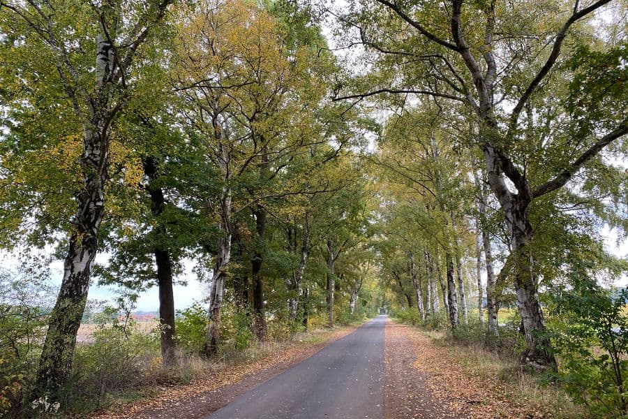 Radtour Adelheidsdorf: Mutige Siedler - Stolze Reiter. Von der Moorlandschaft zur Pferderegion