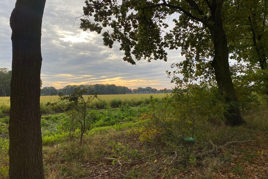 Radtour Adelheidsdorf: Mutige Siedler - Stolze Reiter. Von der Moorlandschaft zur Pferderegion