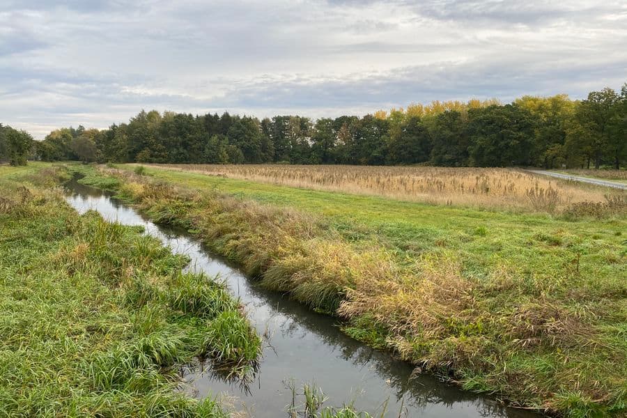 Radtour Adelheidsdorf: Mutige Siedler - Stolze Reiter. Von der Moorlandschaft zur Pferderegion