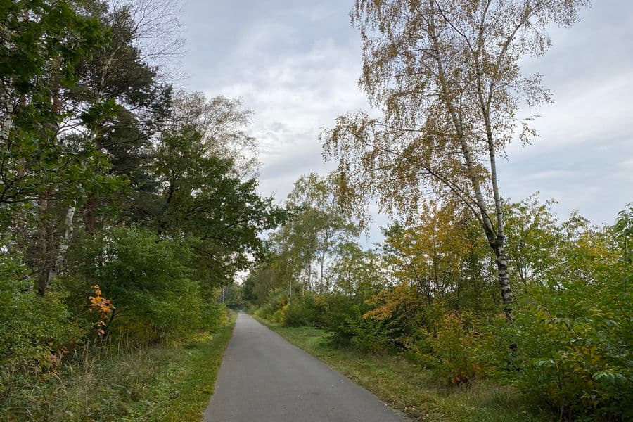 Radtour Adelheidsdorf: Mutige Siedler - Stolze Reiter. Von der Moorlandschaft zur Pferderegion