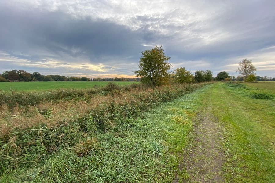 Radtour Adelheidsdorf: Mutige Siedler - Stolze Reiter. Von der Moorlandschaft zur Pferderegion