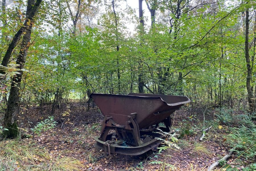 Radtour Adelheidsdorf: Mutige Siedler - Stolze Reiter. Von der Moorlandschaft zur Pferderegion