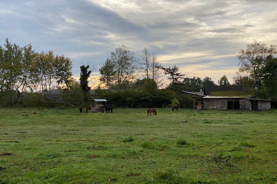 Radtour Adelheidsdorf: Mutige Siedler - Stolze Reiter. Von der Moorlandschaft zur Pferderegion