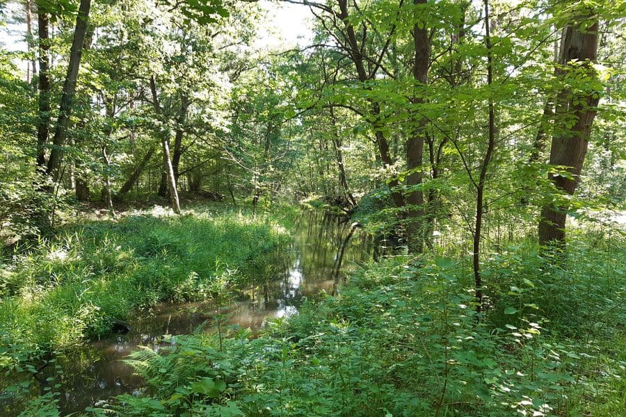 idyllischer Weg am Osterbruchkanal