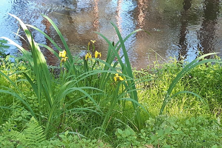 Osterbruchkanal