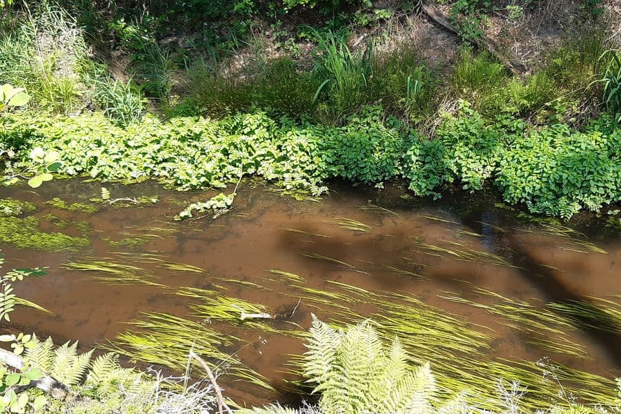 Osterbruchkanal