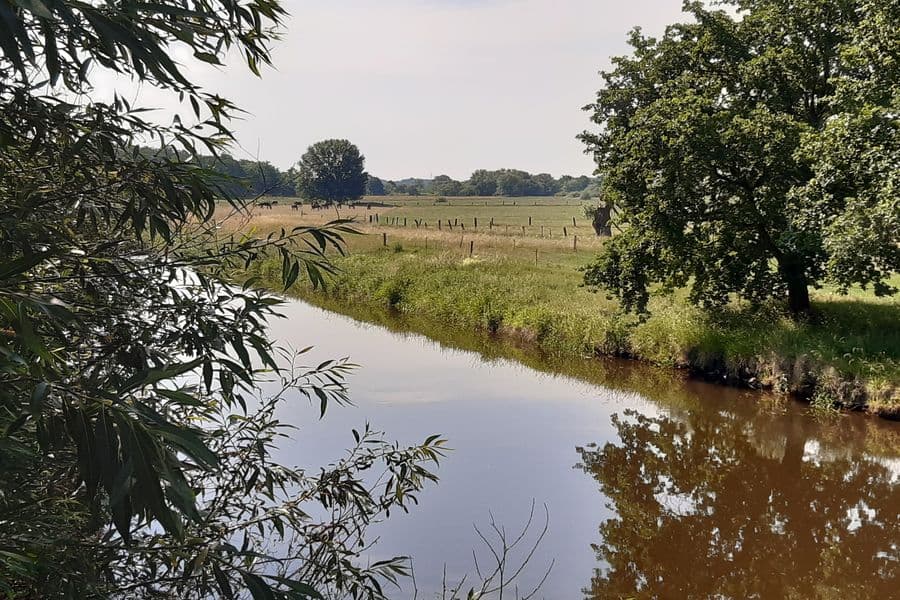 ruhiger Flussverlauf zwischen Wiesen